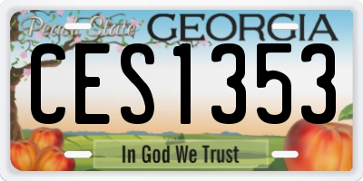 GA license plate CES1353