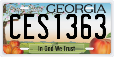 GA license plate CES1363