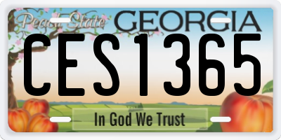 GA license plate CES1365