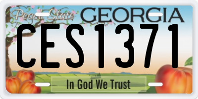 GA license plate CES1371