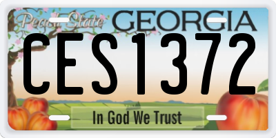 GA license plate CES1372