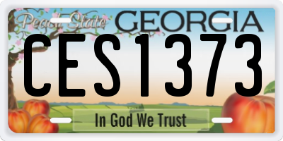 GA license plate CES1373