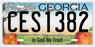 GA license plate CES1382