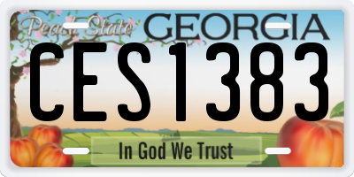 GA license plate CES1383