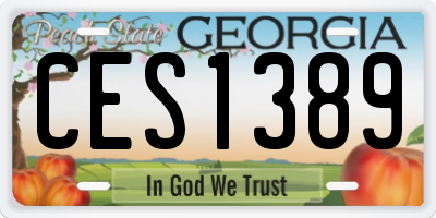 GA license plate CES1389