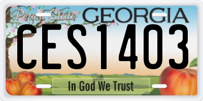 GA license plate CES1403