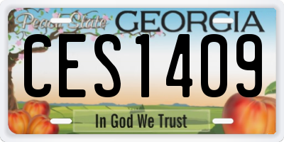 GA license plate CES1409