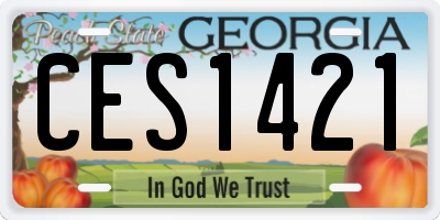 GA license plate CES1421
