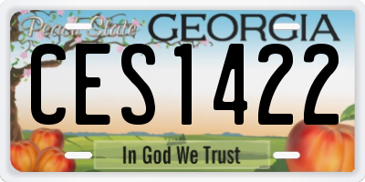 GA license plate CES1422