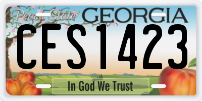 GA license plate CES1423
