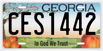 GA license plate CES1442