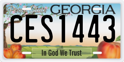 GA license plate CES1443
