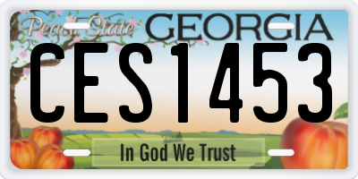 GA license plate CES1453