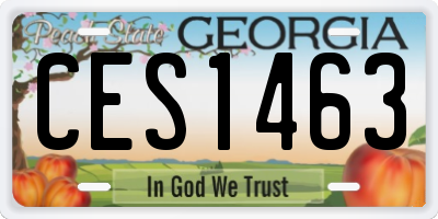 GA license plate CES1463