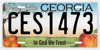 GA license plate CES1473