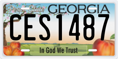 GA license plate CES1487
