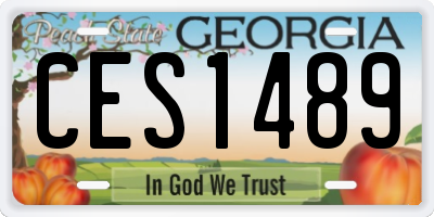 GA license plate CES1489