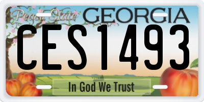 GA license plate CES1493