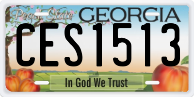 GA license plate CES1513