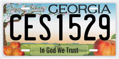 GA license plate CES1529