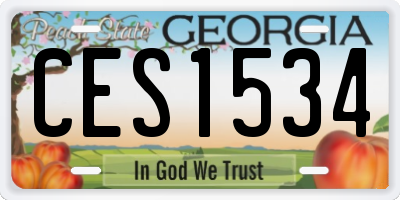 GA license plate CES1534