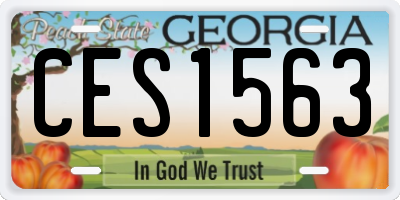 GA license plate CES1563