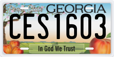 GA license plate CES1603