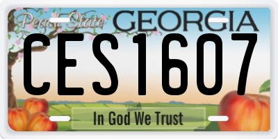 GA license plate CES1607