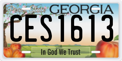GA license plate CES1613