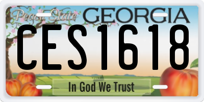 GA license plate CES1618