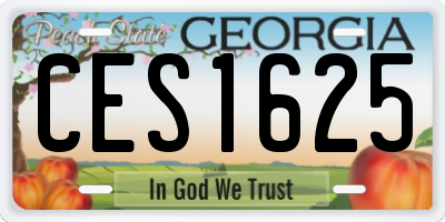 GA license plate CES1625