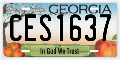 GA license plate CES1637
