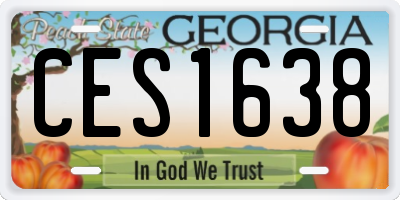 GA license plate CES1638