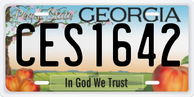 GA license plate CES1642
