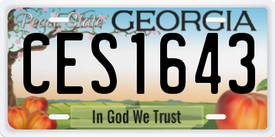 GA license plate CES1643