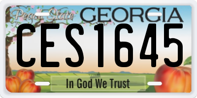 GA license plate CES1645