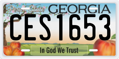 GA license plate CES1653