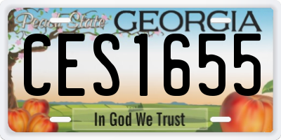 GA license plate CES1655