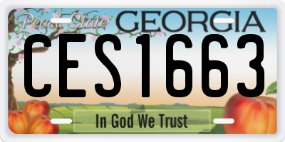 GA license plate CES1663