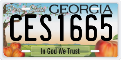 GA license plate CES1665