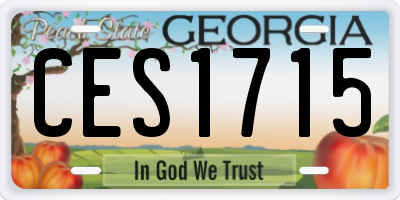 GA license plate CES1715