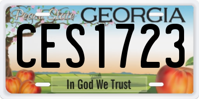 GA license plate CES1723