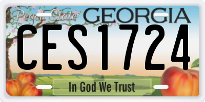 GA license plate CES1724