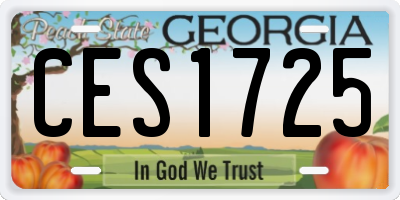 GA license plate CES1725