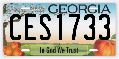 GA license plate CES1733