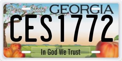GA license plate CES1772