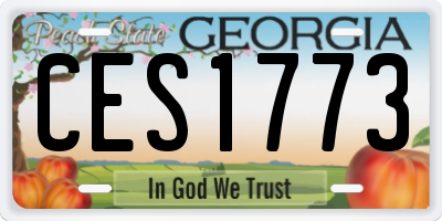 GA license plate CES1773