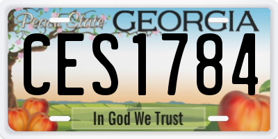 GA license plate CES1784