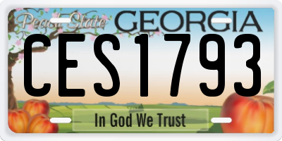 GA license plate CES1793