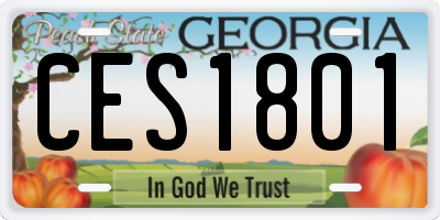 GA license plate CES1801